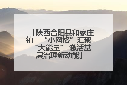 陕西合阳县和家庄镇：“小网格”汇聚“大能量” 激活基层治理新动能
