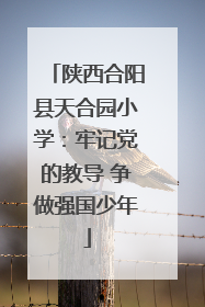 陕西合阳县天合园小学：牢记党的教导 争做强国少年