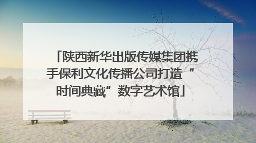 陕西新华出版传媒集团携手保利文化传播公司打造“时间典藏”数字艺术馆