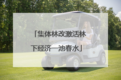 集体林改激活林下经济一池春水