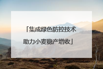 集成绿色防控技术助力小麦稳产增收
