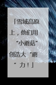 雪域高原上，他们用“小蘑菇”创造大“蘑”力！