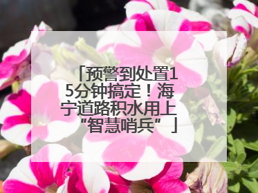 预警到处置15分钟搞定！海宁道路积水用上“智慧哨兵”