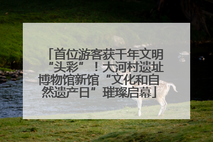 首位游客获千年文明“头彩”！大河村遗址博物馆新馆“文化和自然遗产日”璀璨启幕