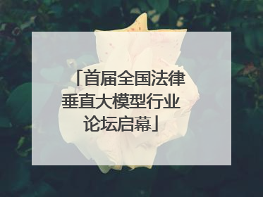 首届全国法律垂直大模型行业论坛启幕