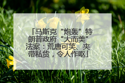马斯克“炮轰”特朗普政府“大而美”法案：荒唐可笑、夹带私货，令人作呕
