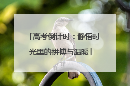 高考倒计时：静悟时光里的拼搏与温暖