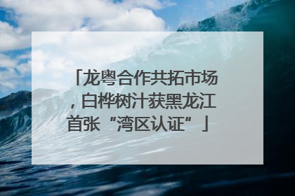 龙粤合作共拓市场，白桦树汁获黑龙江首张“湾区认证”