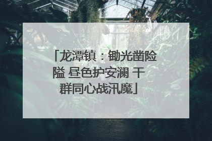 龙潭镇：锄光凿险隘 昼色护安澜 干群同心战汛魔