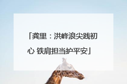 龚里：洪峰浪尖践初心 铁肩担当护平安