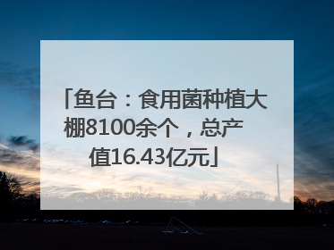 鱼台：食用菌种植大棚8100余个，总产值16.43亿元