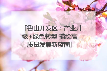 鲁山开发区：产业升级+绿色转型 描绘高质量发展新蓝图