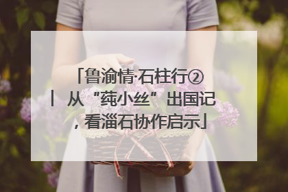 鲁渝情·石柱行② ︳从“莼小丝”出国记，看淄石协作启示