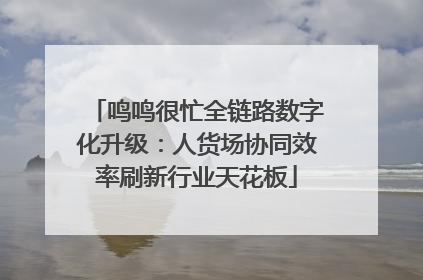 鸣鸣很忙全链路数字化升级：人货场协同效率刷新行业天花板