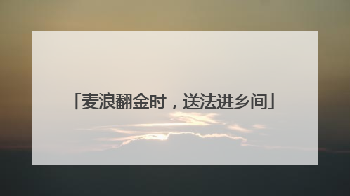 麦浪翻金时，送法进乡间