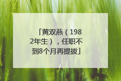 黄双燕（1982年生），任职不到8个月再提拔