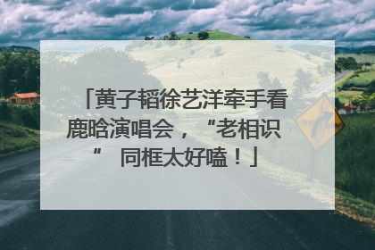黄子韬徐艺洋牵手看鹿晗演唱会，“老相识” 同框太好嗑！