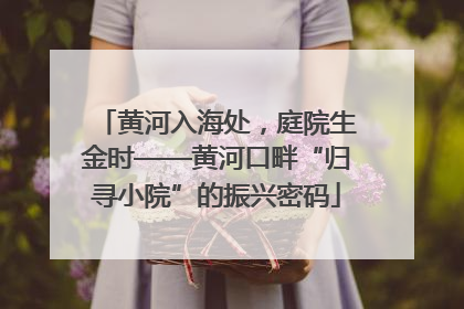黄河入海处，庭院生金时——黄河口畔“归寻小院”的振兴密码