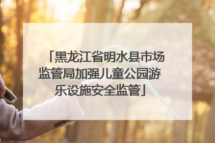 黑龙江省明水县市场监管局加强儿童公园游乐设施安全监管