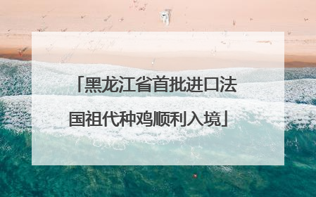 黑龙江省首批进口法国祖代种鸡顺利入境