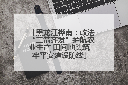 黑龙江桦南：政法“三箭齐发”护航农业生产 田间地头筑牢平安建设防线