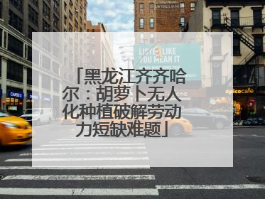 黑龙江齐齐哈尔：胡萝卜无人化种植破解劳动力短缺难题