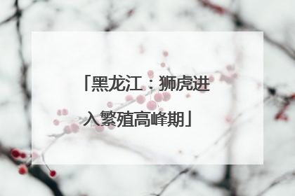 黑龙江：狮虎进入繁殖高峰期