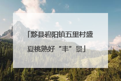 黟县碧阳镇五里村盛夏桃熟好“丰”景