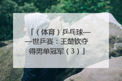 （体育）乒乓球——世乒赛：王楚钦夺得男单冠军（3）