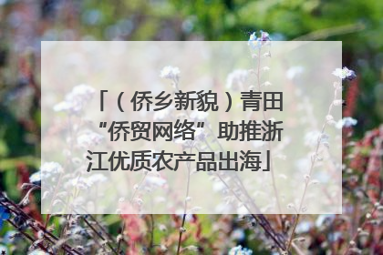 （侨乡新貌）青田“侨贸网络”助推浙江优质农产品出海