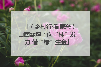 （乡村行·看振兴）山西襄垣：向“林”发力 借“绿”生金