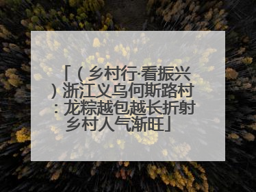 （乡村行·看振兴）浙江义乌何斯路村：龙粽越包越长折射乡村人气渐旺