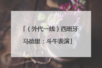 （外代一线）西班牙马德里：斗牛表演