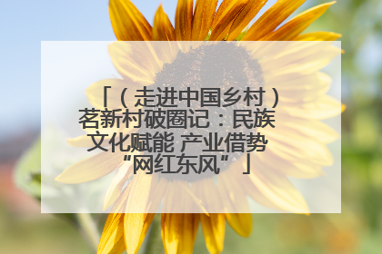 （走进中国乡村）茗新村破圈记：民族文化赋能 产业借势 “网红东风”