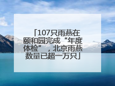 107只雨燕在颐和园完成“年度体检”，北京雨燕数量已超一万只