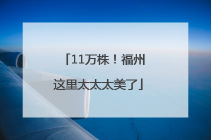 11万株！福州这里太太太美了