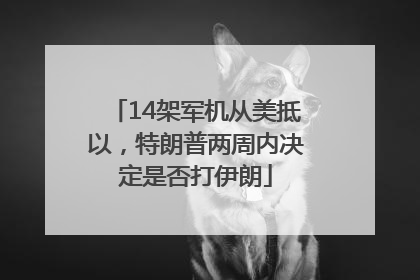 14架军机从美抵以，特朗普两周内决定是否打伊朗