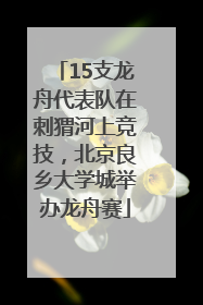 15支龙舟代表队在刺猬河上竞技，北京良乡大学城举办龙舟赛