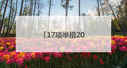 17项举措20条政策 杭州发布建设人工智能创新高地新“路径”