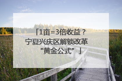 1亩=3倍收益？宁夏兴庆区解锁改革“黄金公式”