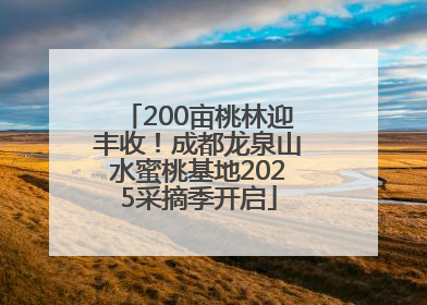 200亩桃林迎丰收！成都龙泉山水蜜桃基地2025采摘季开启