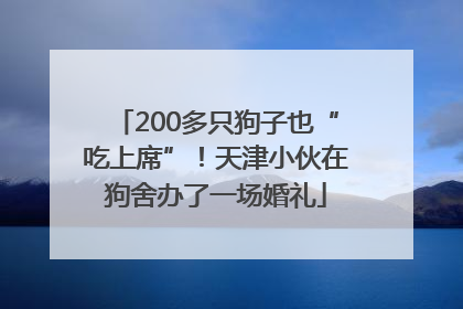 200多只狗子也“吃上席”！天津小伙在狗舍办了一场婚礼