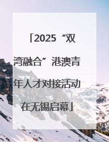 2025“双湾融合”港澳青年人才对接活动在无锡启幕