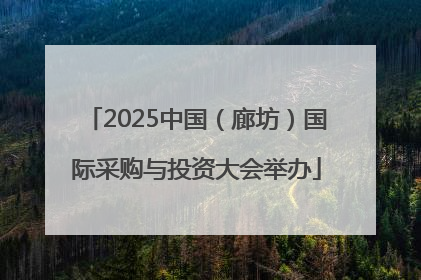 2025中国（廊坊）国际采购与投资大会举办