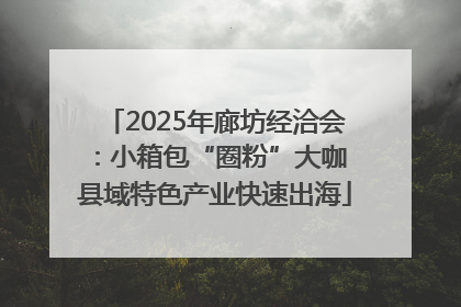 2025年廊坊经洽会：小箱包“圈粉”大咖 县域特色产业快速出海