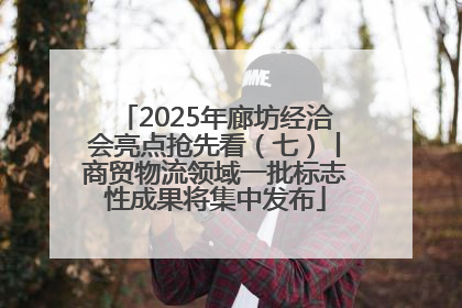2025年廊坊经洽会亮点抢先看（七）丨商贸物流领域一批标志性成果将集中发布