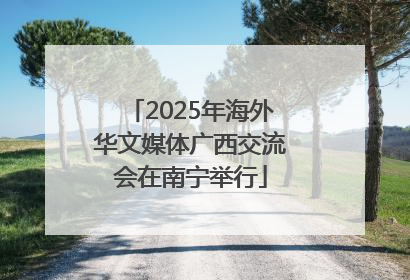 2025年海外华文媒体广西交流会在南宁举行