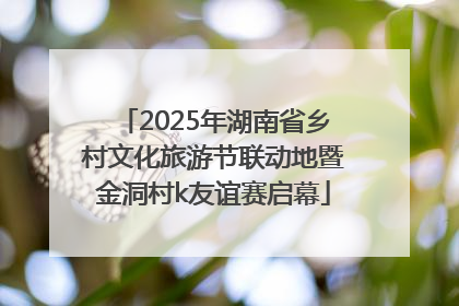 2025年湖南省乡村文化旅游节联动地暨金洞村k友谊赛启幕