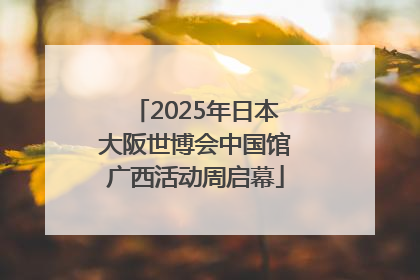 2025年日本大阪世博会中国馆广西活动周启幕