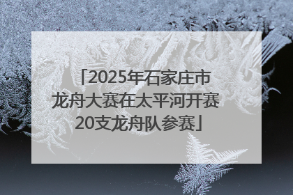 2025年石家庄市龙舟大赛在太平河开赛 20支龙舟队参赛